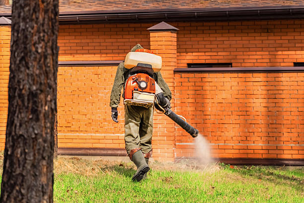 Trusted Rodent Control service in North Wales, PA - Nex Pest Control